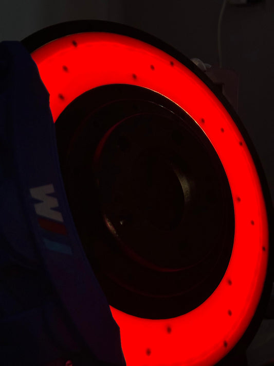 BMW Brake Disc Lamp
